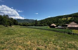 Casă cu 6000 mp teren, Poiana Ampoiului - Metes