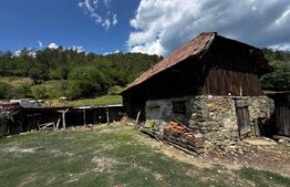 Casă cu 6000 mp teren, Poiana Ampoiului - Metes