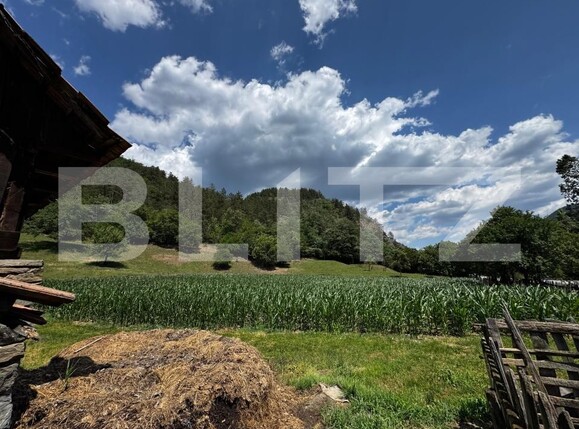 Casa de vânzare 3 camere Ampoita - 173099CV | BLITZ Alba Iulia | Poza8