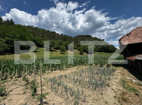 Casa de vânzare 3 camere Ampoita - 173099CV | BLITZ Alba Iulia | Poza4