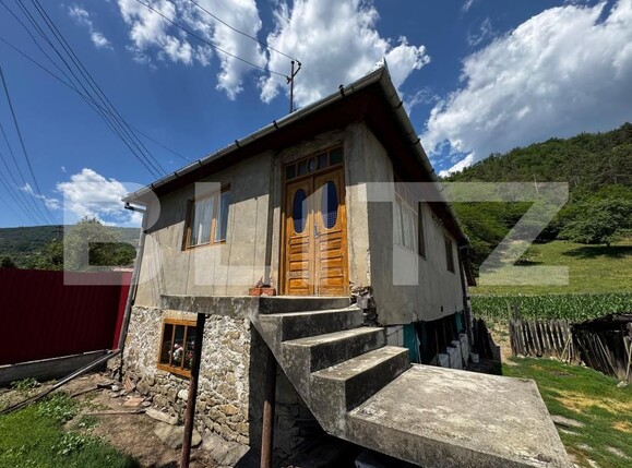 Casa de vânzare 3 camere Ampoita - 173099CV | BLITZ Alba Iulia | Poza1