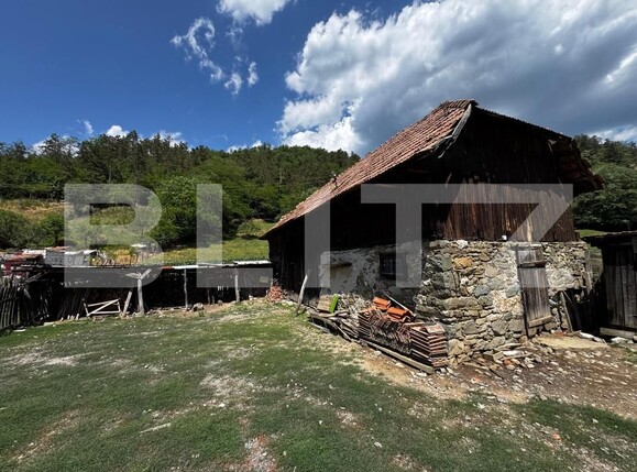 Casa de vânzare 3 camere Ampoita - 173099CV | BLITZ Alba Iulia | Poza3