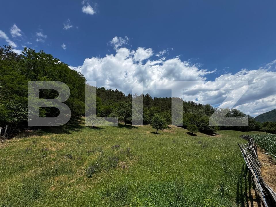 Casa de vânzare 3 camere Ampoita - 173099CV | BLITZ Alba Iulia | Poza6