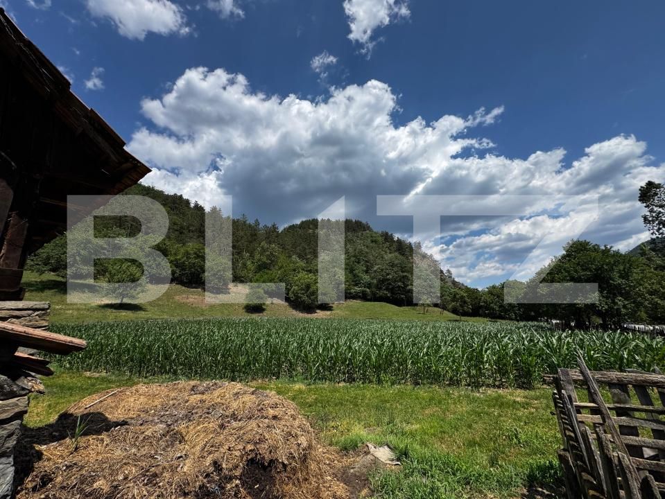 Casa de vânzare 3 camere Ampoita - 173099CV | BLITZ Alba Iulia | Poza9