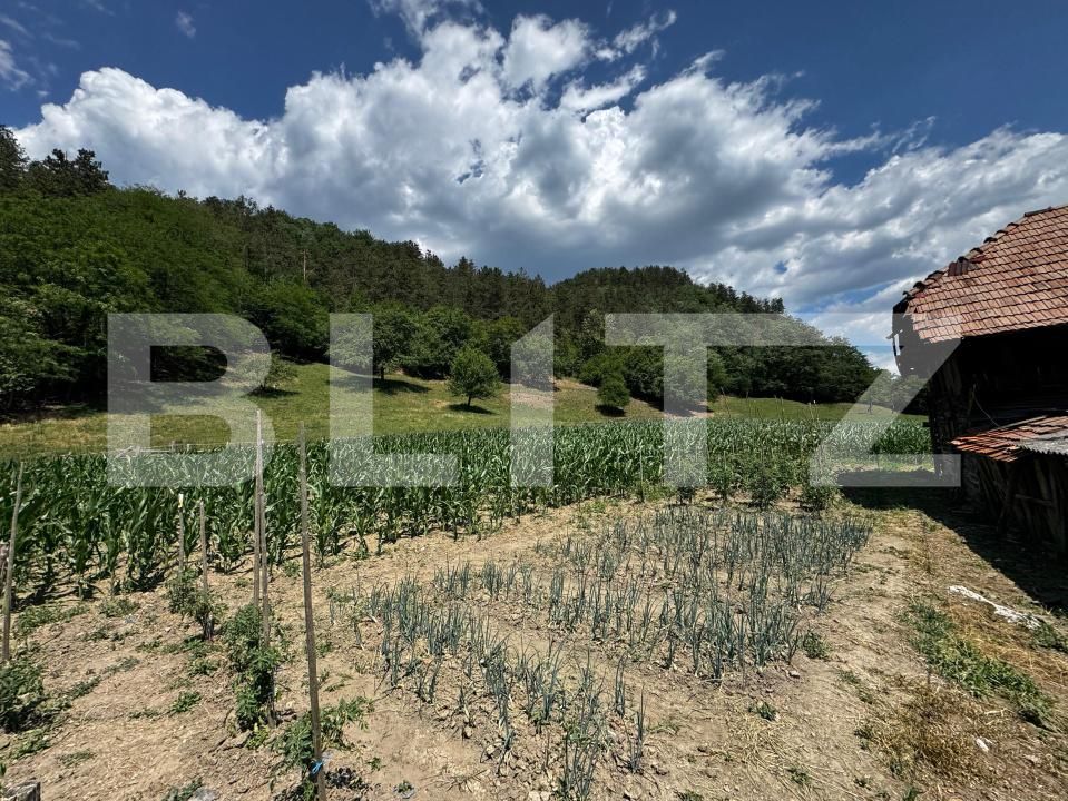 Casa de vânzare 3 camere Ampoita - 173099CV | BLITZ Alba Iulia | Poza5