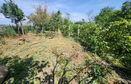 Casa individuala cu 4 camere,150 mp utili,1700 mp teren,Blaj