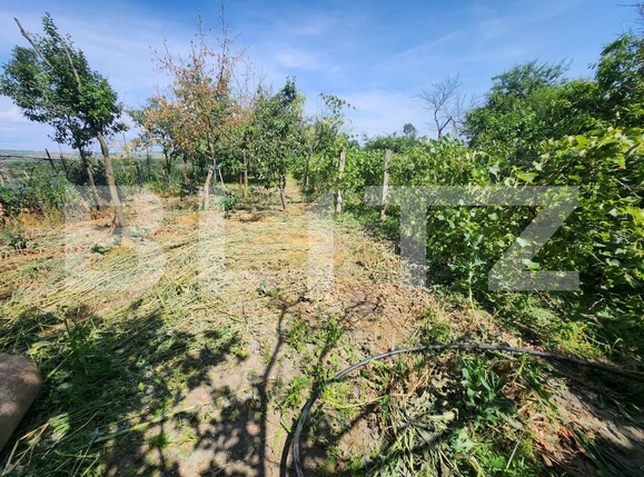 Casa de vânzare 4 camere Blaj - 173139CV | BLITZ Alba Iulia | Poza16