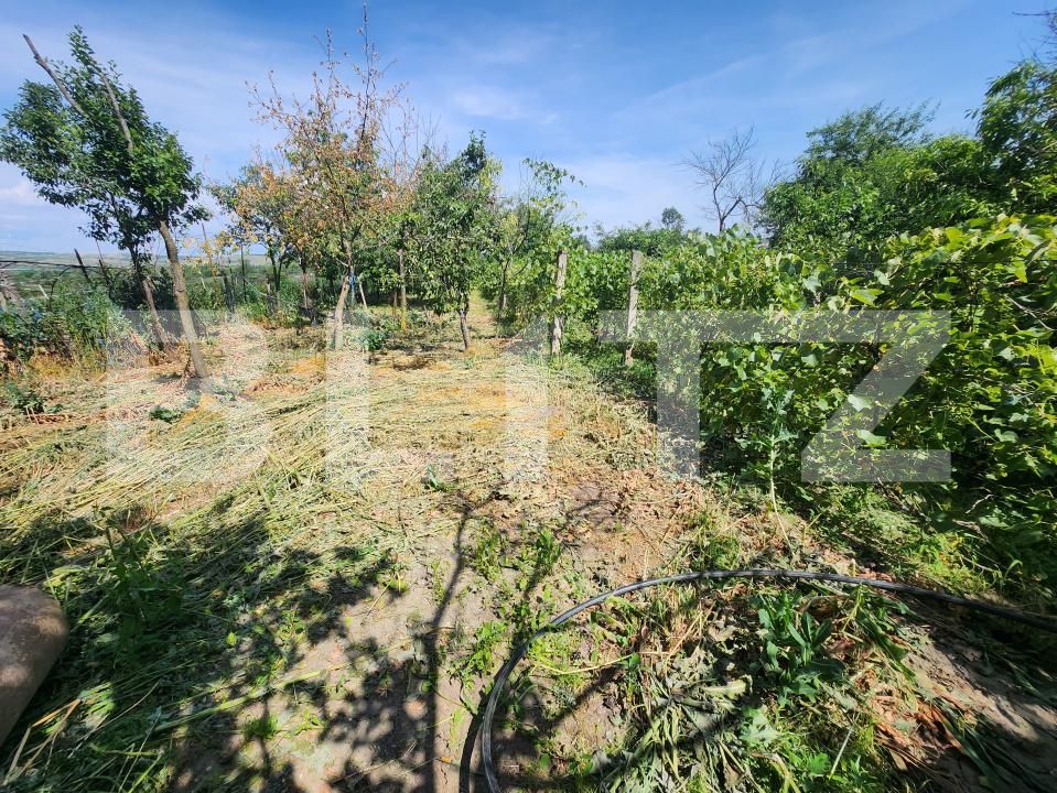 Casa de vânzare 4 camere Blaj - 173139CV | BLITZ Alba Iulia | Poza14