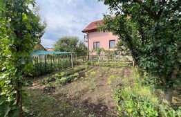 Casă cu 2 camere curte spațioasă și grădină îngrijită