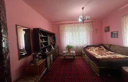 Casă cu 2 camere curte spațioasă și grădină îngrijită