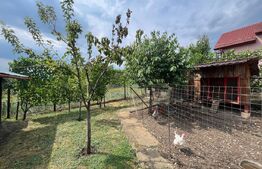 Casă cu 2 camere curte spațioasă și grădină îngrijită