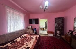 Casă cu 2 camere curte spațioasă și grădină îngrijită