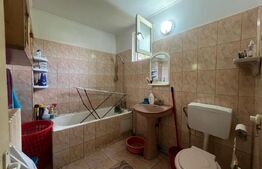 Casă cu 2 camere curte spațioasă și grădină îngrijită