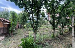 Casă cu 2 camere curte spațioasă și grădină îngrijită