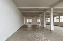 Spațiu comercial de închiriat Unirea - 197352SIC | BLITZ Alba Iulia | Poza1