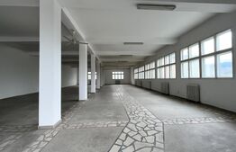 Spațiu Comercial de 300 mp – Vizibilitate Excelentă și Potențial Maxim