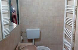 Casă individuală, 65mp utili, zona Sebes-Răhău