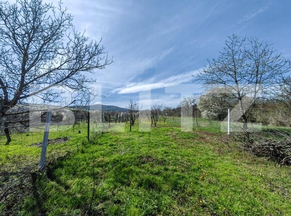 Casa de vânzare 2 camere Rahau - 173555CV | BLITZ Alba Iulia | Poza21