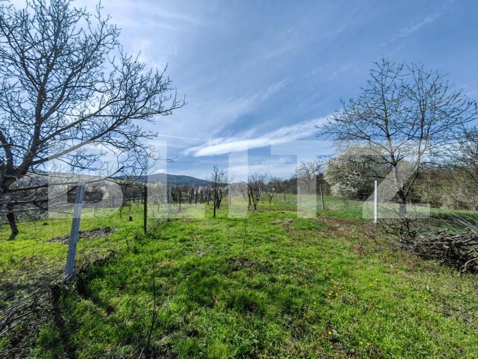 Casa de vânzare 2 camere Rahau - 173555CV | BLITZ Alba Iulia | Poza21