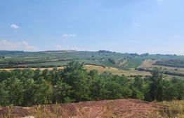 Teren intravilan,827 mp,Ciugud