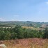 Teren de vânzare Ciugud - 173886TV - Poza 1 din 2 | BLITZ Alba Iulia | Poza1