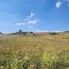 Teren de vânzare Ciugud - 173886TV - Poza 1 din 2 | BLITZ Alba Iulia | Poza2