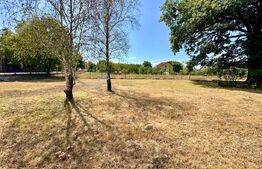  Teren intravilan,poziție excelentă –Vințu de Jos!Ideal pentru construcție casa