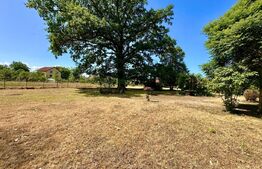  Teren intravilan,poziție excelentă –Vințu de Jos!Ideal pentru construcție casa