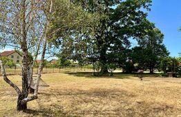  Teren intravilan,poziție excelentă –Vințu de Jos!Ideal pentru construcție casa