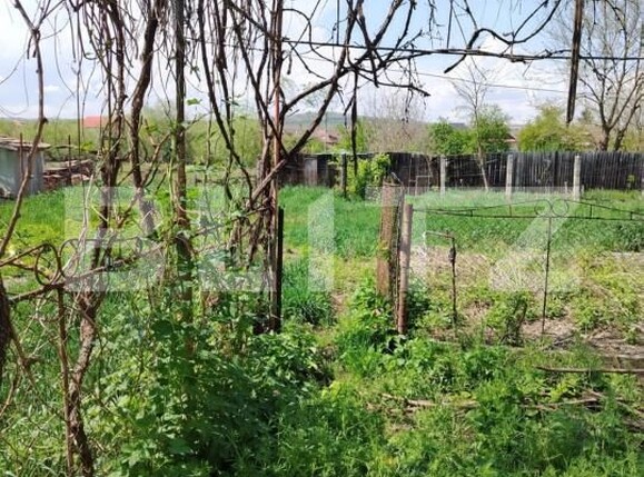 Casa de vânzare 2 camere Unirea - 173957CV | BLITZ Alba Iulia | Poza6