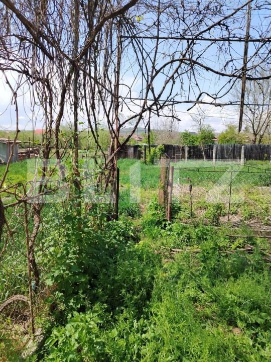 Casa de vânzare 2 camere Unirea - 173957CV | BLITZ Alba Iulia | Poza6