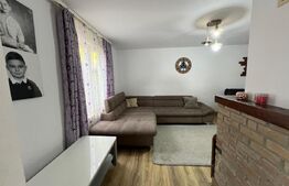 Casă de lemn autentică, 4 camere + încălzire cu șemineu și centrală pe lemne