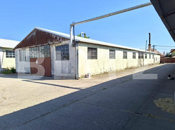 Spațiu industrial de vânzare Lipoveni - 174518SVI | BLITZ Alba Iulia | Poza5