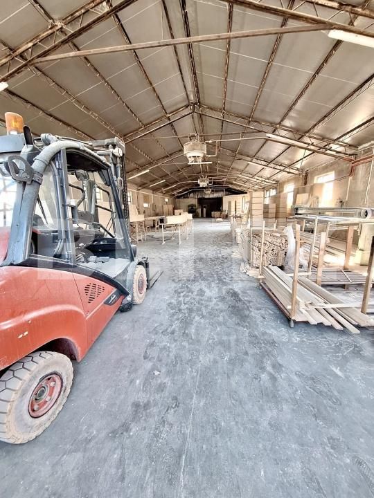 Spațiu industrial de vânzare Lipoveni - 174518SVI | BLITZ Alba Iulia | Poza6