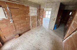 Casa spatioasa cu 5 camere,interior la rosu,423 mp teren,Micesti