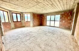 Casa spatioasa cu 5 camere,interior la rosu,423 mp teren,Micesti