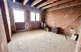 Casa spatioasa cu 5 camere,interior la rosu,423 mp teren,Micesti