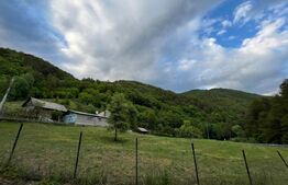 Casa 100 mp utili 4 camere 1,6 ha teren aproape de Trans Apuseana 