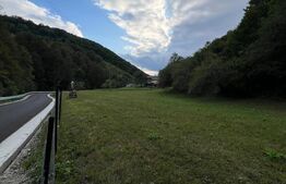 Casa 100 mp utili 4 camere 1,6 ha teren aproape de Trans Apuseana 