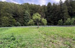 Casa 100 mp utili 4 camere 1,6 ha teren aproape de Trans Apuseana 