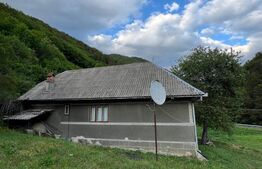 Casa 100 mp utili 4 camere 1,6 ha teren aproape de Trans Apuseana 