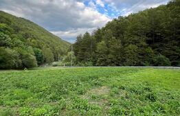 Casa 100 mp utili 4 camere 1,6 ha teren aproape de Trans Apuseana 