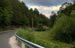 Casa 100 mp utili 4 camere 1,6 ha teren aproape de Trans Apuseana 