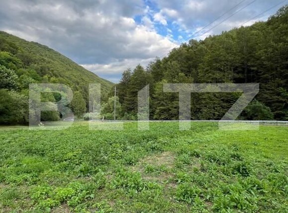 Casa de vânzare 4 camere Intregalde - 174762CV | BLITZ Alba Iulia | Poza4