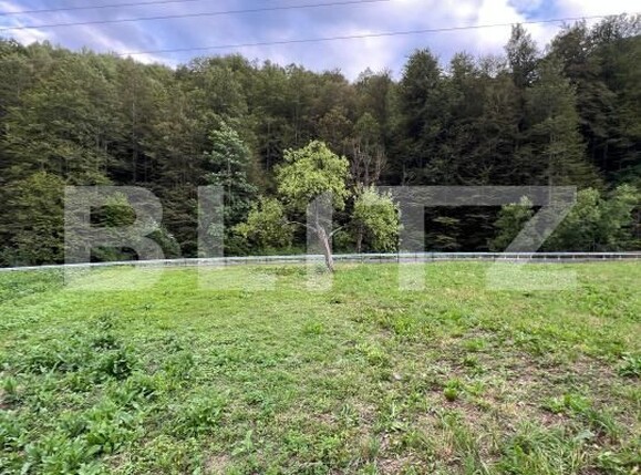 Casa de vânzare 4 camere Intregalde - 174762CV | BLITZ Alba Iulia | Poza5