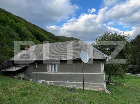 Casa de vânzare 4 camere Intregalde - 174762CV | BLITZ Alba Iulia | Poza2