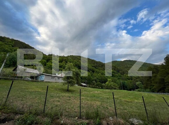 Casa de vânzare 4 camere Intregalde - 174762CV | BLITZ Alba Iulia | Poza3