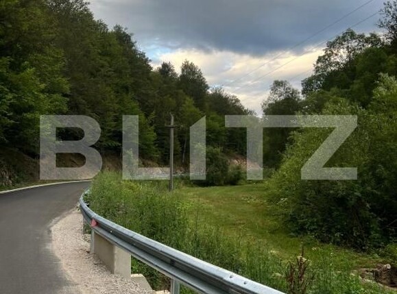 Casa de vânzare 4 camere Intregalde - 174762CV | BLITZ Alba Iulia | Poza7