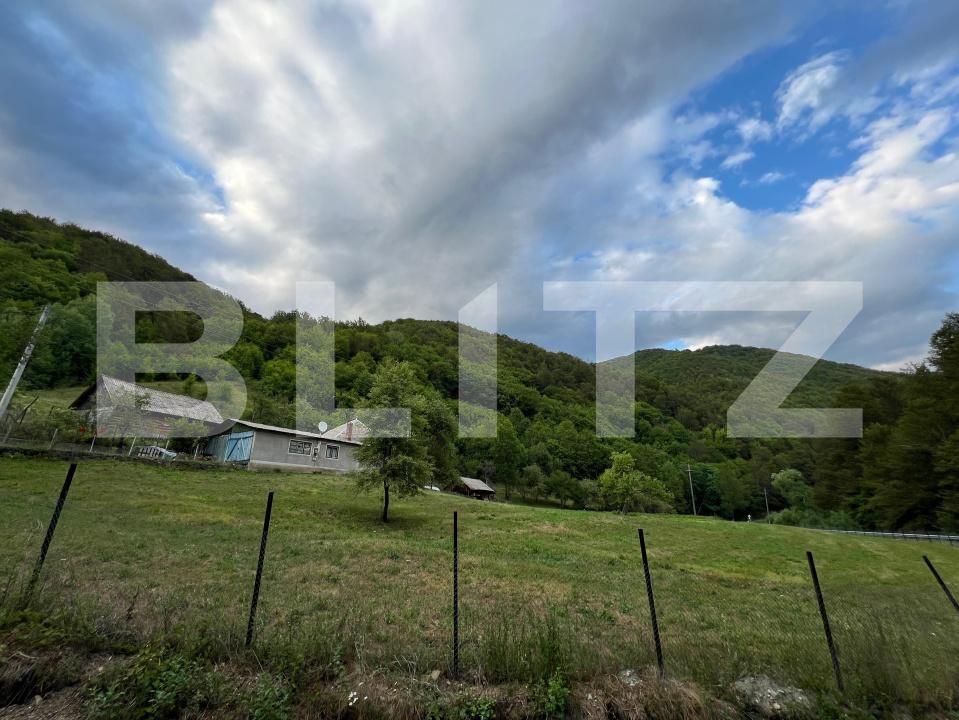 Casa de vânzare 4 camere Intregalde - 174762CV | BLITZ Alba Iulia | Poza3