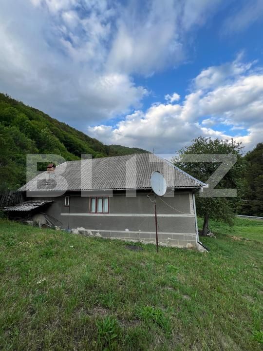 Casa de vânzare 4 camere Intregalde - 174762CV | BLITZ Alba Iulia | Poza2